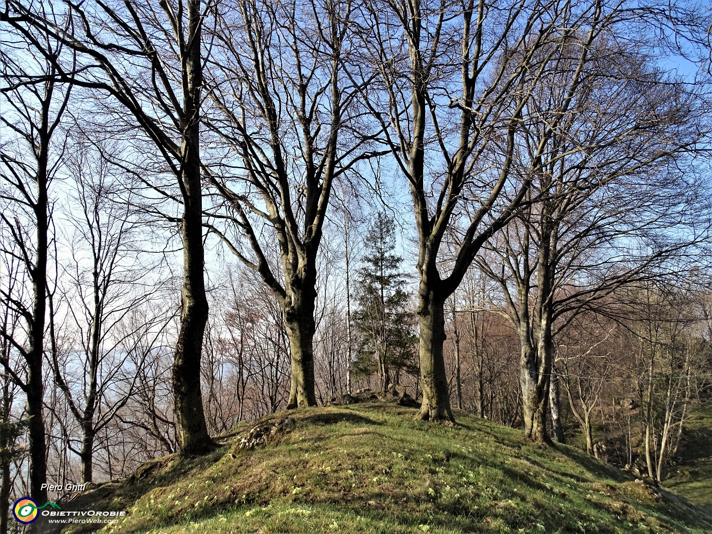 20 Bel dosso alberato alla cascina.JPG